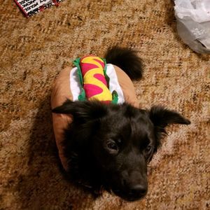 Meet your Posher, Dee christman